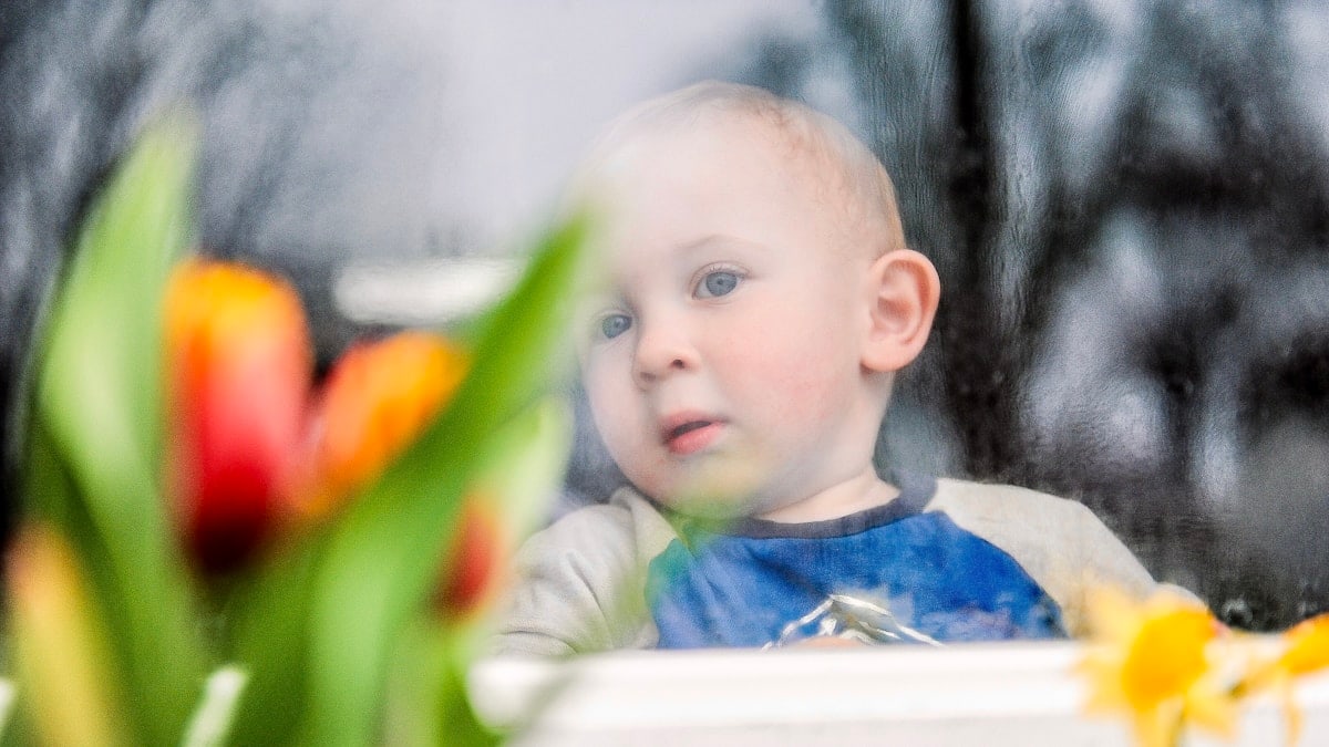 a young boy looking out a window at flowers