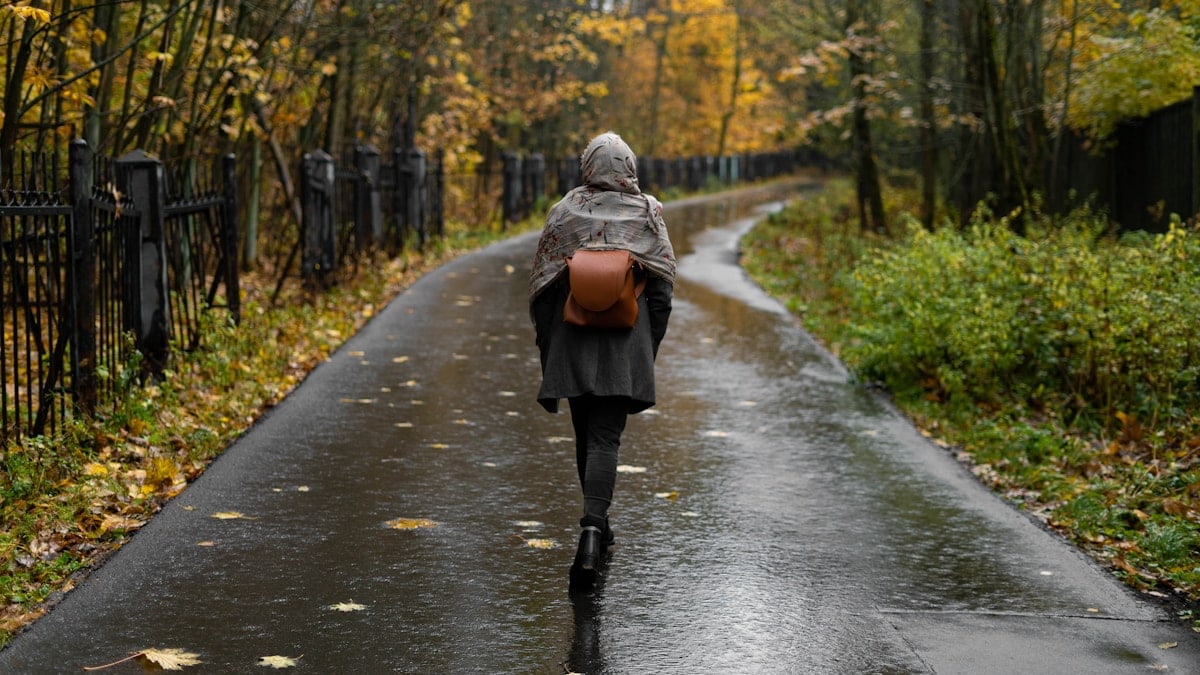 PhotoTest #8 Camera: Sony ILCE A7s Lens: Sony FE 50mm f/1.8 Location: Russia, Moscow. Date: 01.10.22